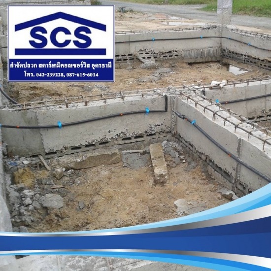 วางท่อกำจัดปลวก อุดรธานี วางท่อกำจัดปลวก 