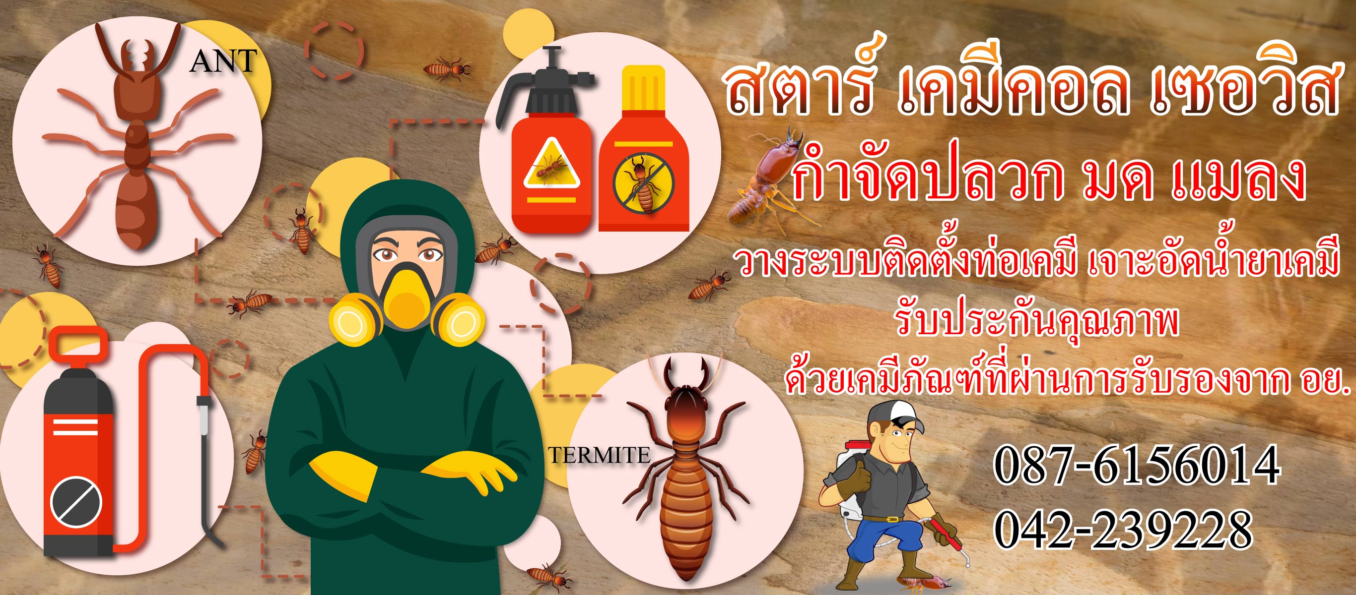 กำจัดปลวก-สตาร์เคมิคอลเซอร์วิส